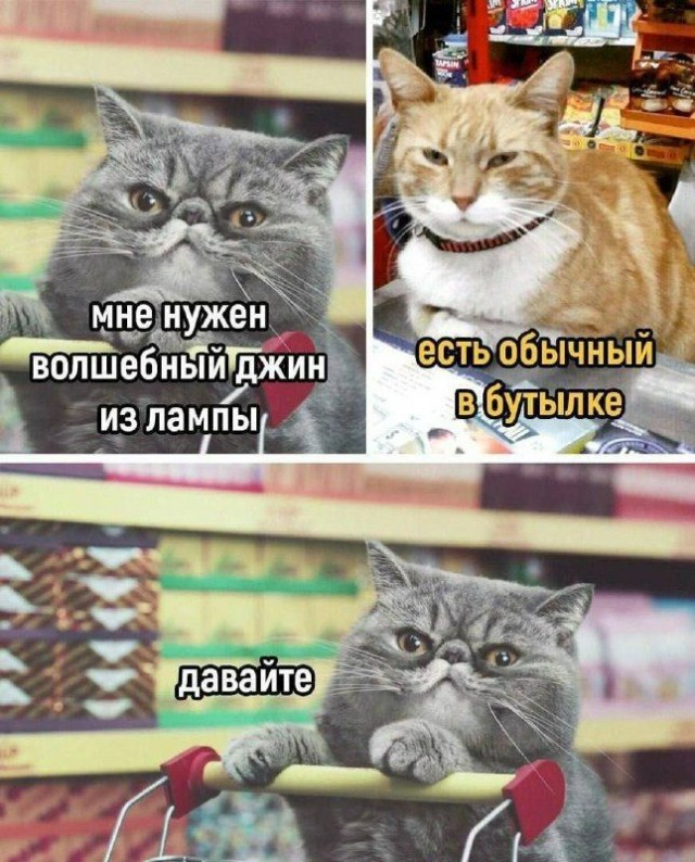 Немного картинок разной степени новизны и адекватности