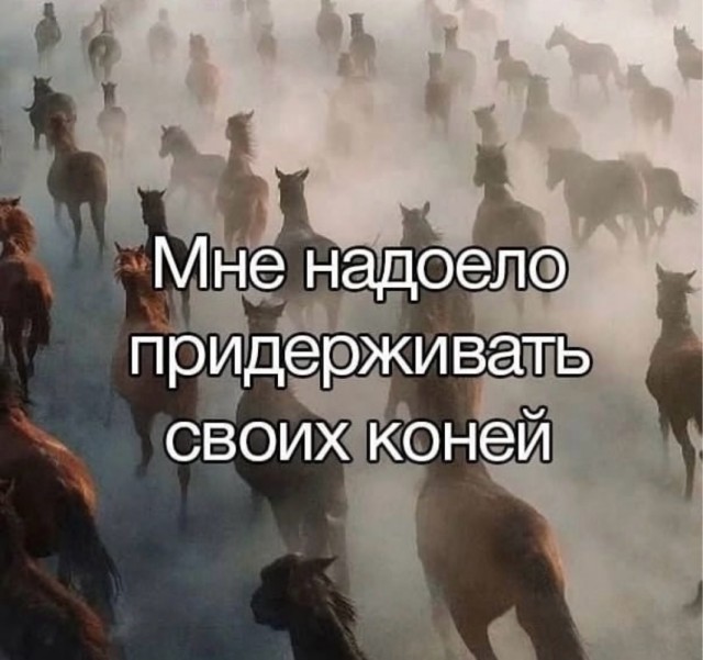 Веселое настроение в картинках (28.09.2025)