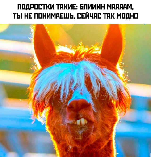 Так себе картинки 09.10.25