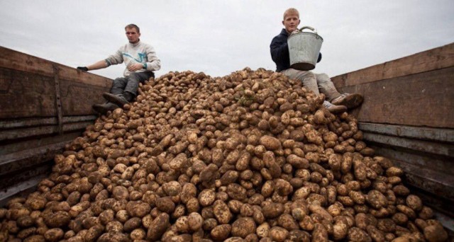 Фотографии из прошлого нашей страны – 120
