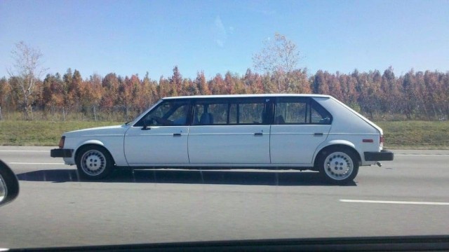 Забавные фотографии из Сети 11.11.25