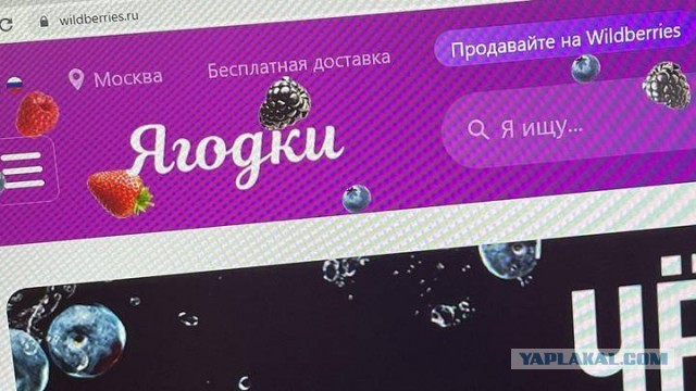 Все вывески в России с марта 2026 года должны переводиться на русский язык