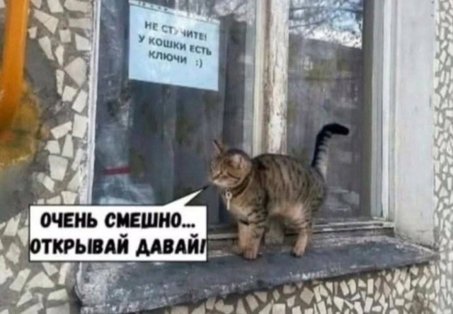 Прикольные и просто красивые картинки 28.11.2025