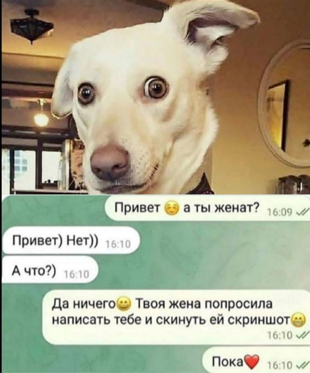 Субботние картинки