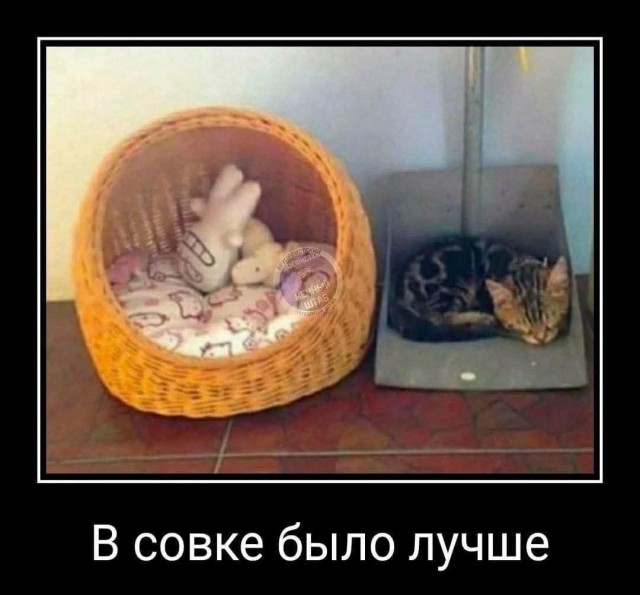 Веселое настроение в картинках (14.02.2025)