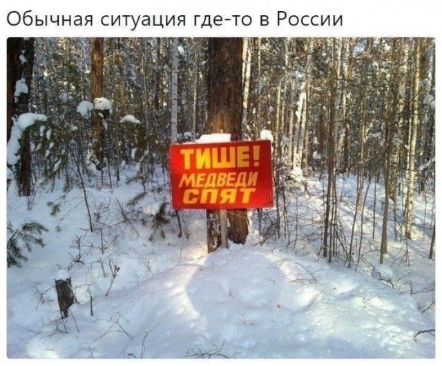 Среды картинки