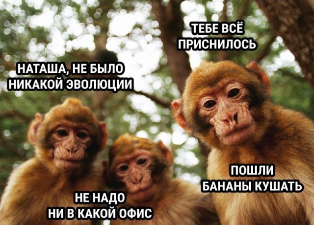 Насморк