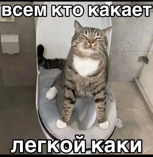 Иран обвинил США в нарушении перемирия и атаковал американские корабли