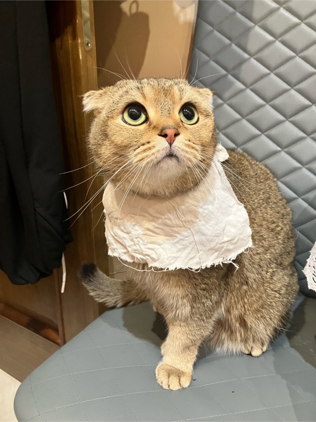 Познакомьтесь, это Софья