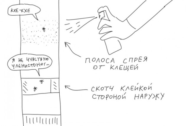 Как обезопасить себя от клещей?⁠