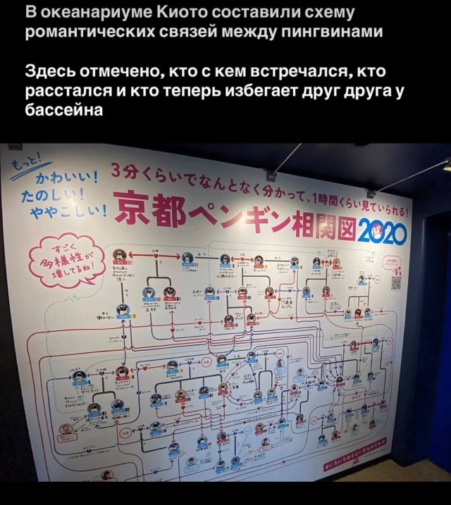 Картинки для деградации 197 (разной степени свежести)
