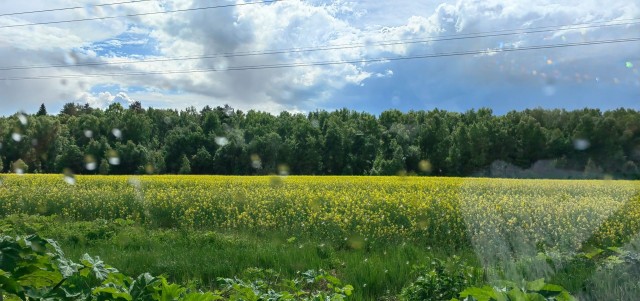 Смотри на небо