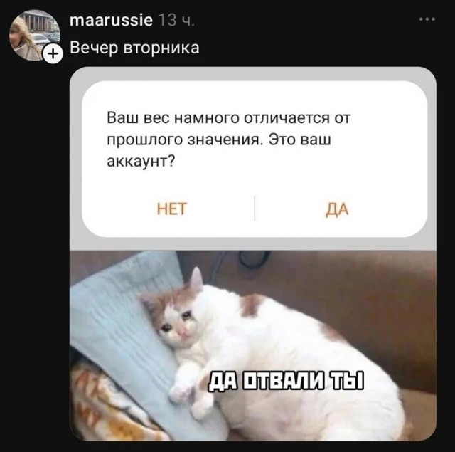 К котовторнику: подборка картинок-баянов с котиками и про котиков. Выпуск 44.