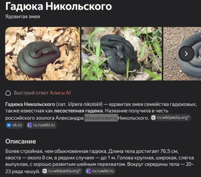 С семьёй в Астрахань!