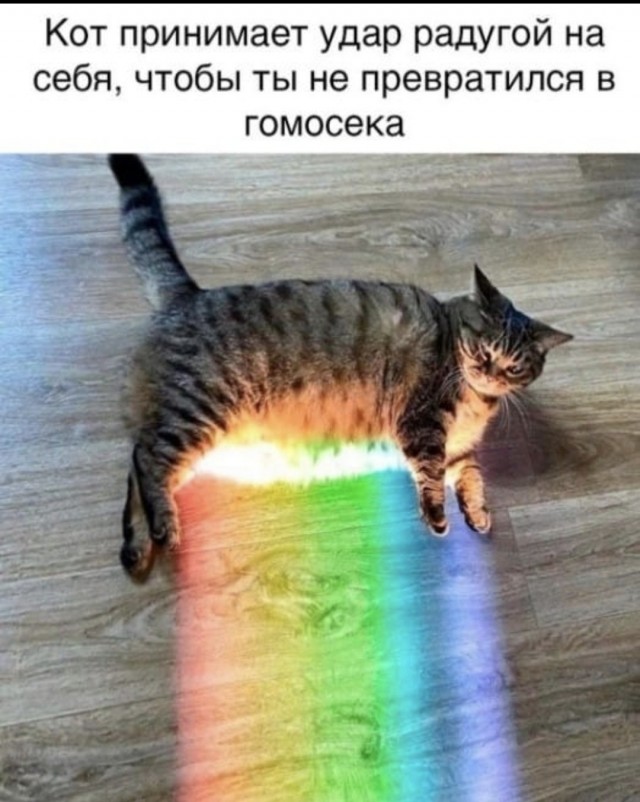 Придумай название для фотографии...