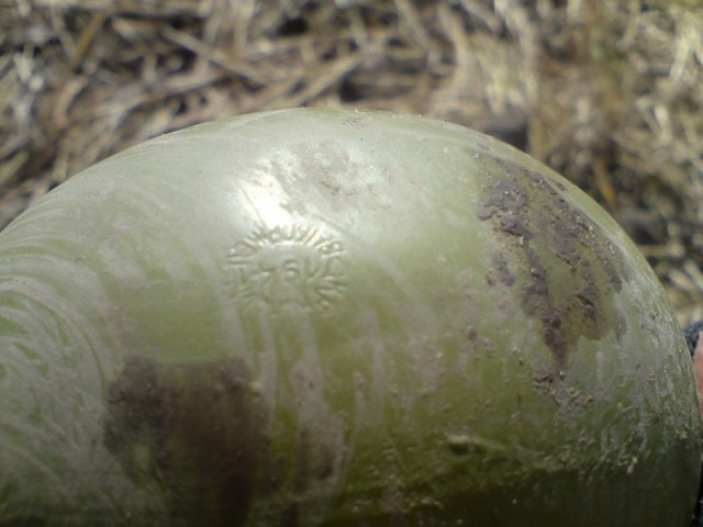 Оржицкая общественная организация Мемориал