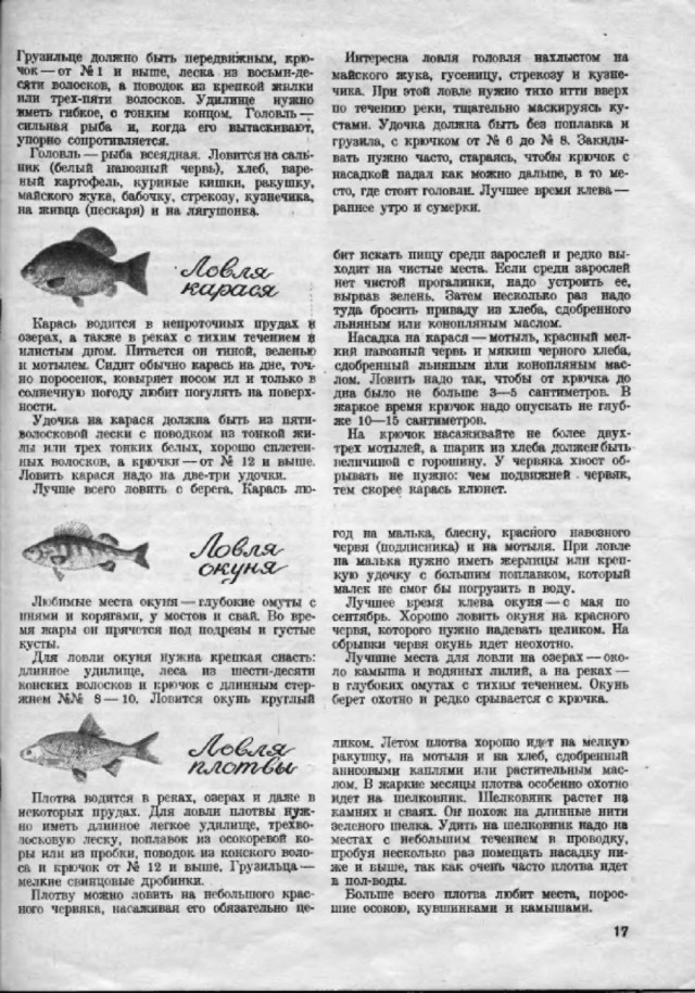 Ветхое живое время...