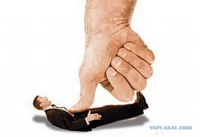 ДНР решили начать процесс национализации