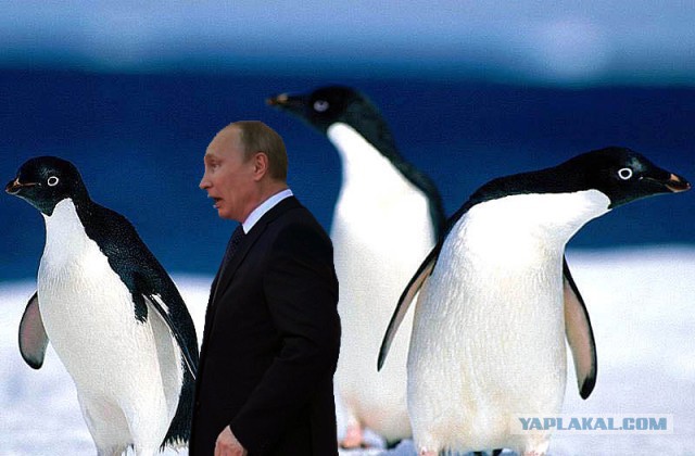 ВВП в фотошоп