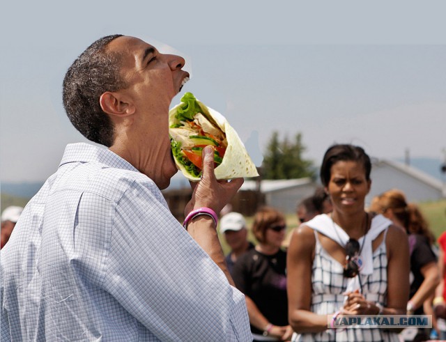 Обжабим обамку