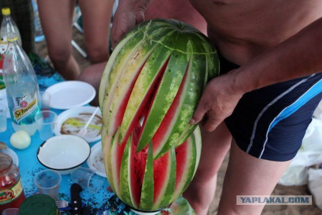 Весёлое из сети
