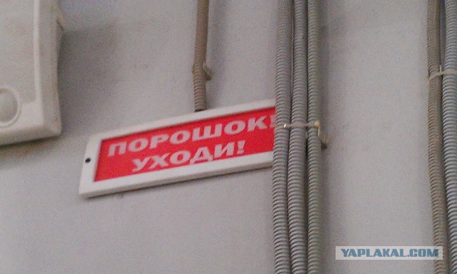 Перепутал красную дорожку и марш скорби