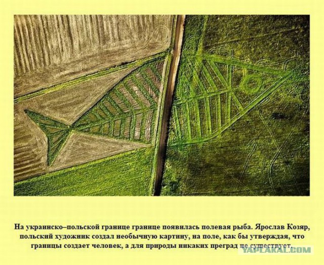 20 фактов обо всем