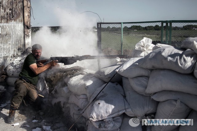 Год силовой операции на востоке Украины