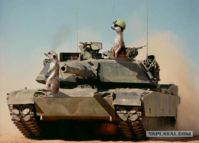 Wargaming 22
