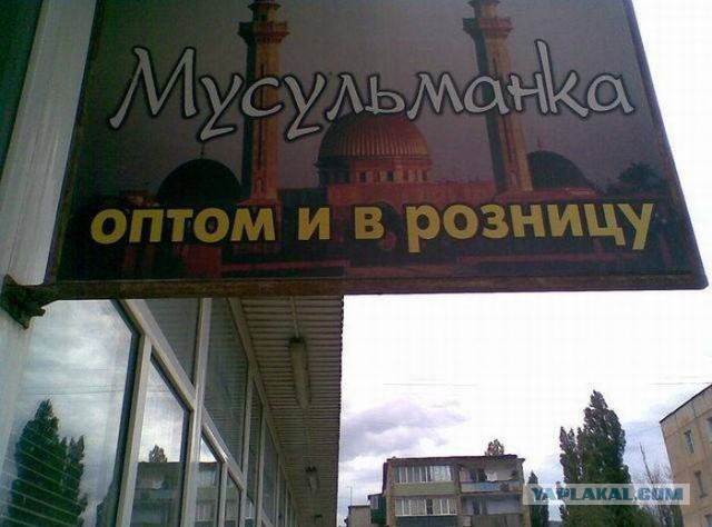 Весёлости в картинках