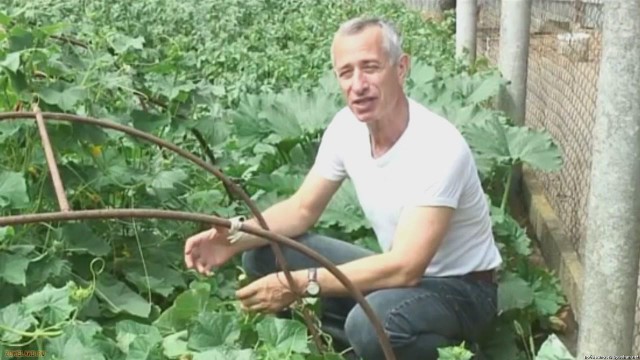10 популярных заблуждений о средневековье