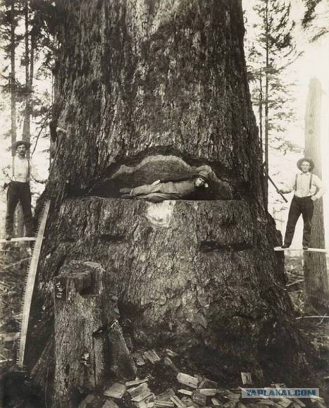 Безумные люди, которые не слышали о безопасности