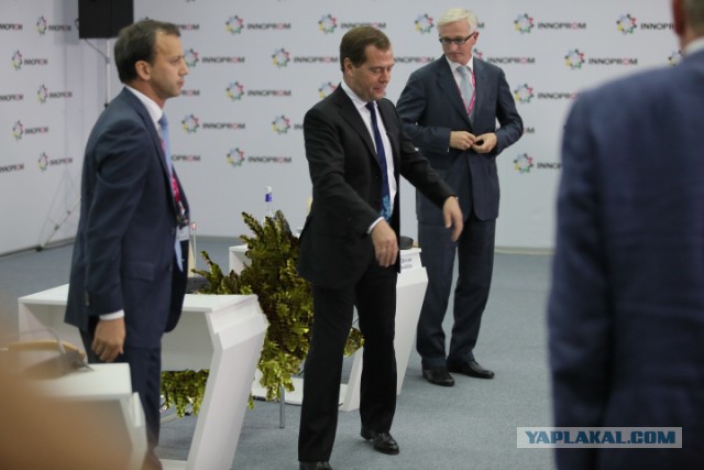 Фотожаберы! Нарядим елочку!