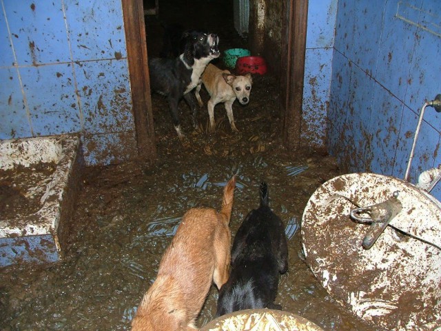 Водителей обяжут сдавать анализы..