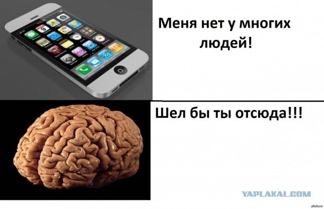 В мире животных...