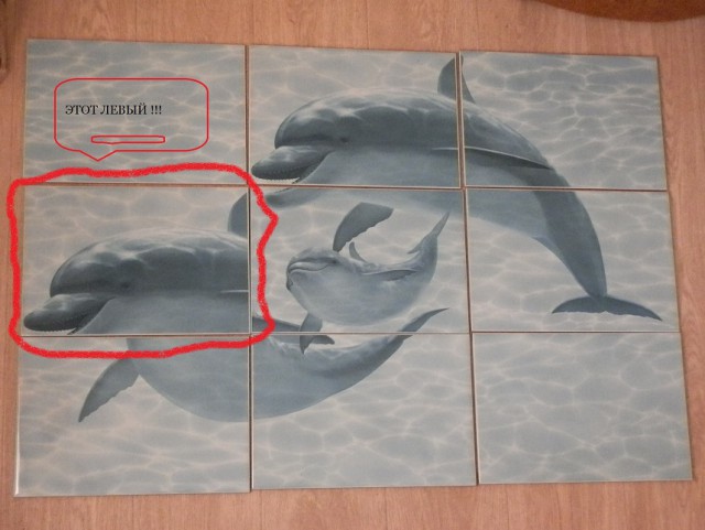 Когда не знаешь, как выглядят дельфины