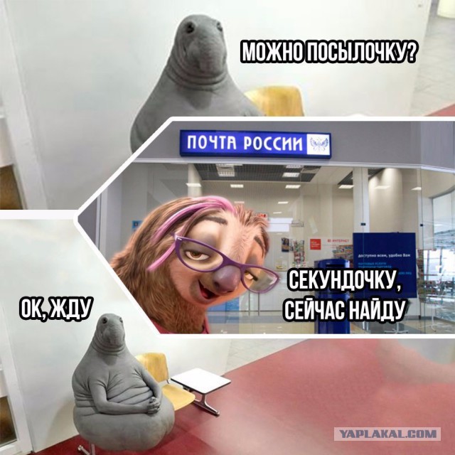 Смехопанорама