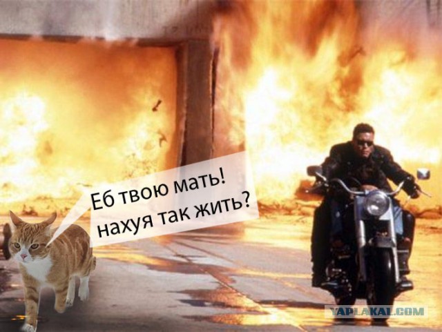Да пошли вы все...