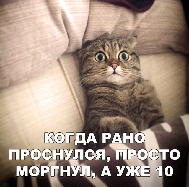 Немного милоты
