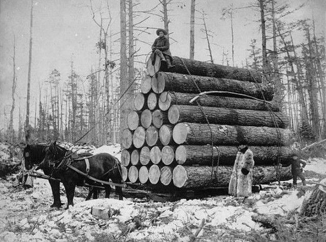 Фальшивая история человечества. Старинные фотографии