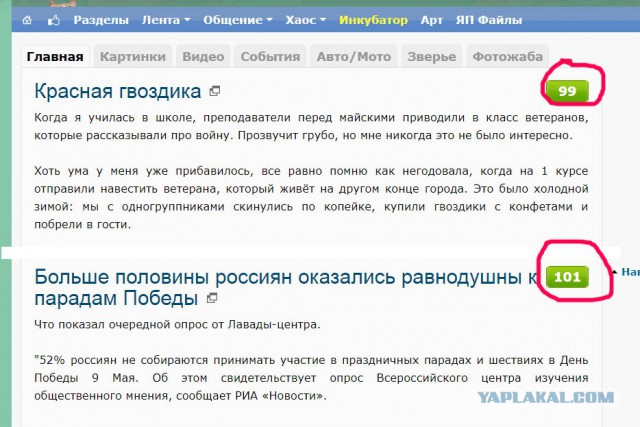 Красная гвоздика