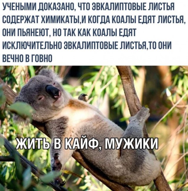 Немного картинок для настроения
