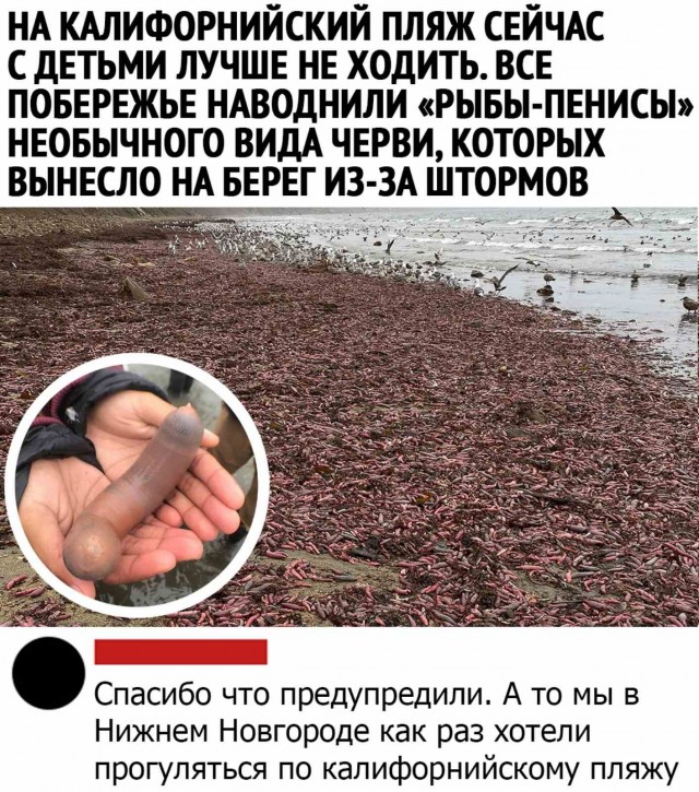 Аморалка light