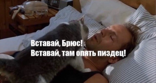 Брюсу Уиллису – 65: Чего зрители не знают о Крепком Орешке