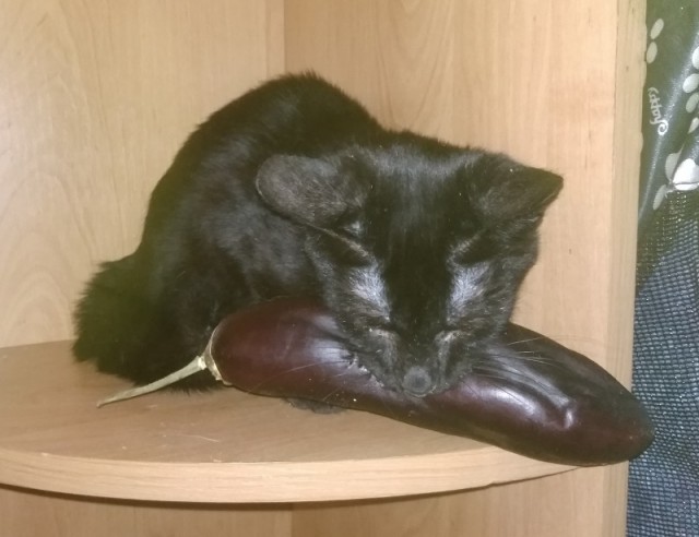 Неновогодний пост
