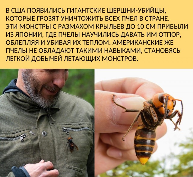 Чёрный пост