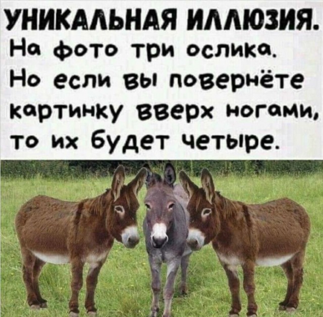 Из чебурека в расстегай