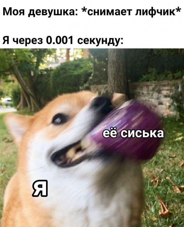 Очень пошлые картинки про это.18+