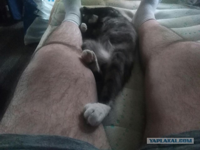 Мужчины сами культивируют в женщинах меркантильность?