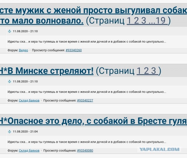В Бресте мужик с женой просто выгуливал собаку, но  ОМОН это мало волновало.